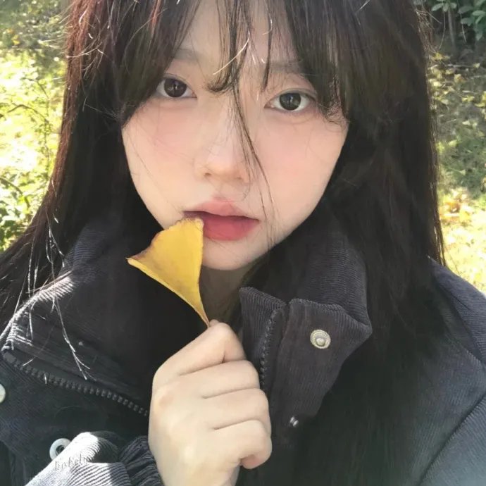 春花秋月未了情